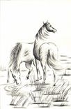 CPA Cheval
