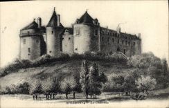 VINTAGE POSTCARD Apremont the Castle