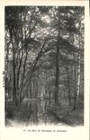 VINTAGE POSTCARD the Bois de Boulogne in Fall