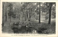 VINTAGE POSTCARD the Bois de Boulogne in Fall Of Palmairum to the big lake