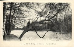 VINTAGE POSTCARD the Bois de Boulogne in Fall the Big lake