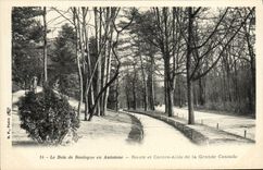 CPA Le Bois de Boulogne en Automne Route et Contre allee de la grande cascade