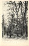 CPA Le Bois de Boulogne en Automne Avenue des Acacias Allee cavaliere