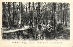 VINTAGE POSTCARD the Bois de Boulogne in Fall Of Pre Catelan to the Large Cascade