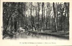 CPA Le Bois de Boulogne en Automne Mare aux Biches