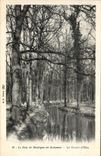 VINTAGE POSTCARD the Bois de Boulogne in Fall the River
