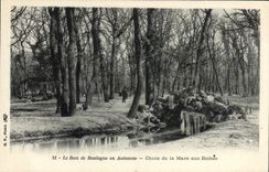 VINTAGE POSTCARD the Bois de Boulogne in Fall Falls of the Pond to the Hinds