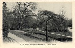 VINTAGE POSTCARD the Bois de Boulogne in Fall Pre Catelan