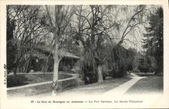 VINTAGE POSTCARD the Bois de Boulogne in Fall Pre Catelan the Weeping willow