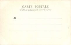 VINTAGE POSTCARD the Bois de Boulogne in Fall Pre Catelan the Weeping willow