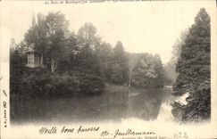 VINTAGE POSTCARD the Bois de Boulogne Fall Around the big lake