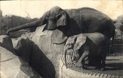 CPA Paris Du Bois De Vincennes Un elephant d'Asie femelle et Micheline jeune elephant