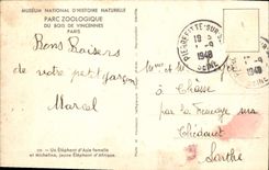 CPA Paris Du Bois De Vincennes Un elephant d'Asie femelle et Micheline jeune elephant