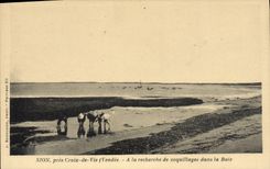 CPA Sion Pres Croix de Vie A la Recherche de coquillages dans la baie