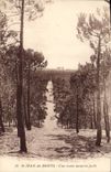 CPA St Jean de Monts Une Route dans la Foret