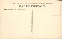 CPA Chien des Pyrenees