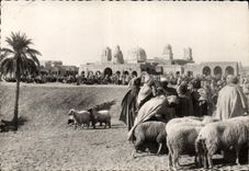 MODERN CARD Market In the South