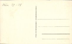 VINTAGE POSTCARD Biskra an Alley Of Palm trees Landon Garden