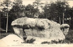 CPA Fontainebleau La Foret Les Gorges Apremont L'elephant