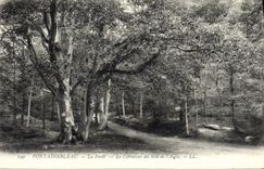 CPA Fontainebleau La Foret Le Carrefour Du Nid De I'Aigle