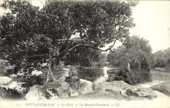 CPA Fontainebleau La Foret La Mare De Franchard
