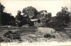 CPA Fontainebleau La Foret Le Sphinx Des Druides