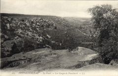 CPA Fontainebleau La Foret Les Gorges De Frauchard
