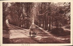 CPA Arras