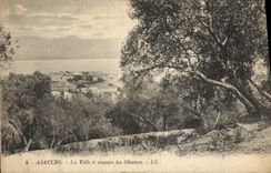 CPA Ajaccio La Ville A Travers Les Oliviers
