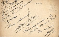 VINTAGE POSTCARD Ajaccio the City Through the Olive-trees