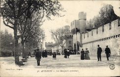 Paredes del External de Avignon de la POSTAL de la VENDIMIA
