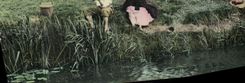 VINTAGE POSTCARD Fantaisie Woman Fishes sinning Folklore