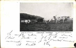 VINTAGE POSTCARD Paris Museum of Luxembourg Nevers-native Tilling Rosa Happiness Cows
