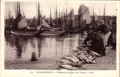 VINTAGE POSTCARD Concarneau Unloading Of Tuna sinned