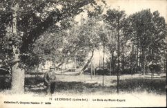 VINTAGE POSTCARD Croisic the Wood of the Mount Spirit