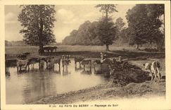 VINTAGE POSTCARD With the Country Of Berry Landscape of the evening Cows