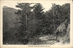 VINTAGE POSTCARD Balloon Of Alsace