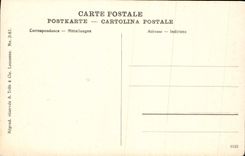 CPA Chien du Grand Saint Bernard