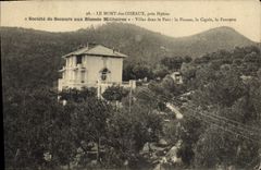 VINTAGE POSTCARD the Mount of the Birds Close Hyeres Societe of Help with Wound Military Villas in the park the Finch the Cicada