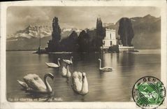 VINTAGE POSTCARD Islands of Clarens and dent du midi Swans