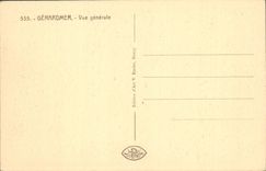 CPA Gerardmer Une Vue Generale
