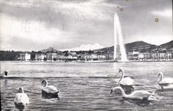 CPA Geneve La Rade Le Jet D'Eau Cygnes