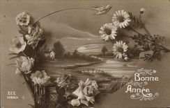 CPA Fantaisie Bonne Annee