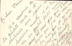 VINTAGE POSTCARD Fantaisie Woman Clover Elephant Horseshoe Clover Heart