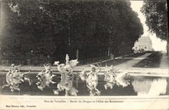 VINTAGE POSTCARD Park of Versailles Basin of the Dragon and the alley of Marmousiers