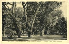 VINTAGE POSTCARD Vichy In the New Parks Giant Poplars