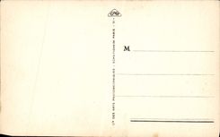 VINTAGE POSTCARD Vichy Donneuse D' Eau