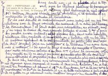 CPM Perpignan Les Quais De La Basse Et Le Palmarium au fond le Canigou
