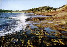 CPM Les Oursinieres So Cote D'Azur et d'or 