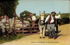 CPA Ane Mule Folklore 